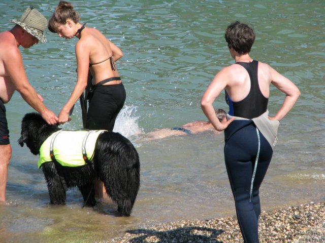 Фотография № 49518