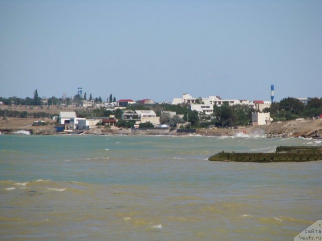 Фотография № 49520