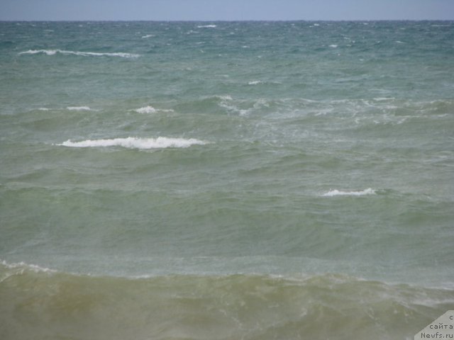 Фотография № 49527