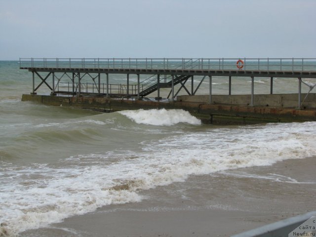 Фотография № 49528