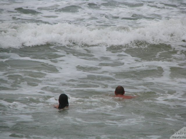 Фотография № 49529