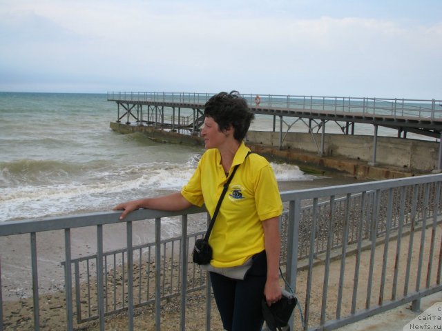 Фотография № 49530