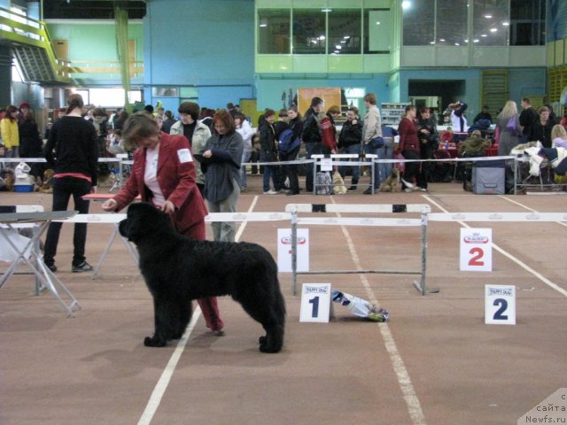 Фотография № 49541