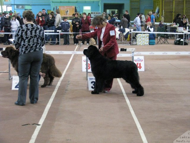 Фотография № 49542