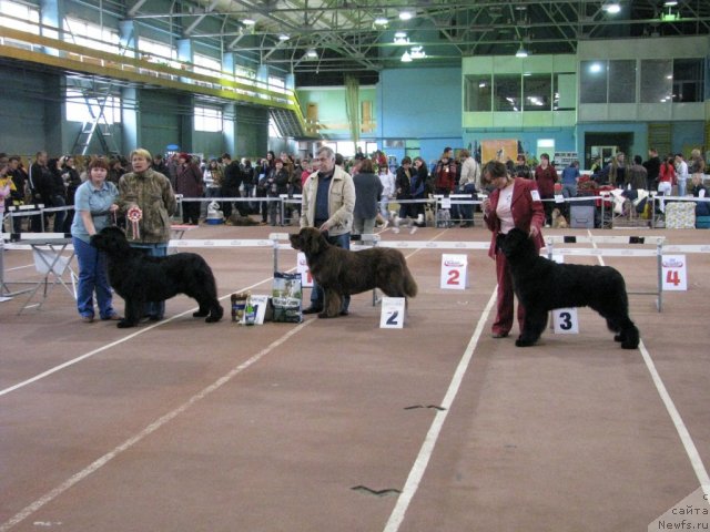 Фотография № 49543