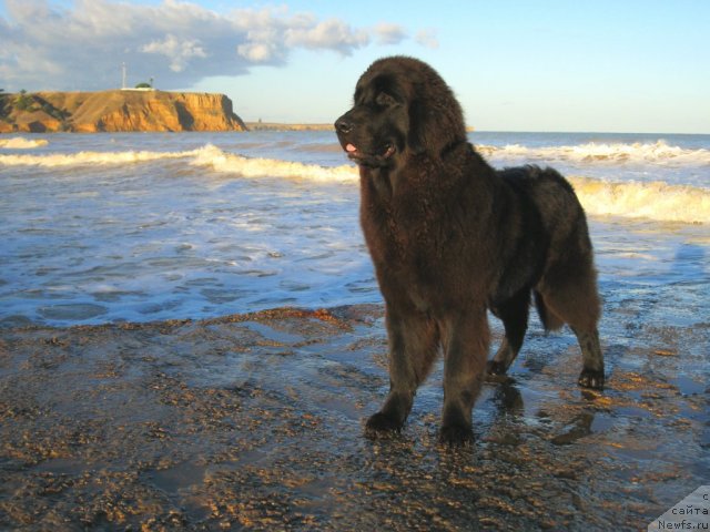 Фотография № 49574