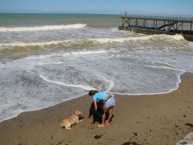 Фотография № 49584