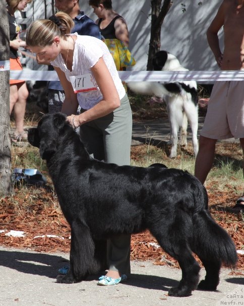 Фотография № 49587