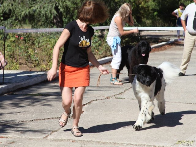 Фотография № 49593