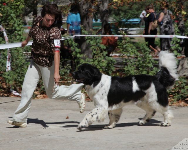 Фотография № 49624