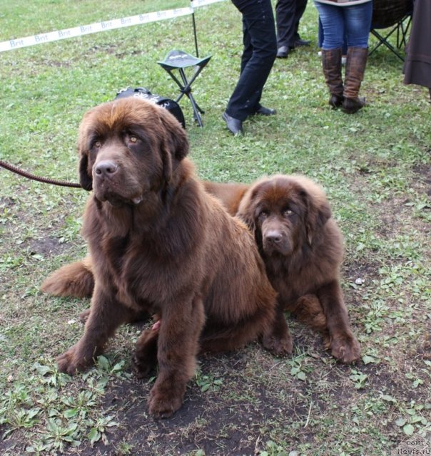 Фотография № 49635