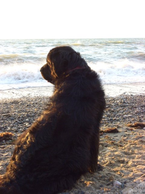 Фотография № 49641