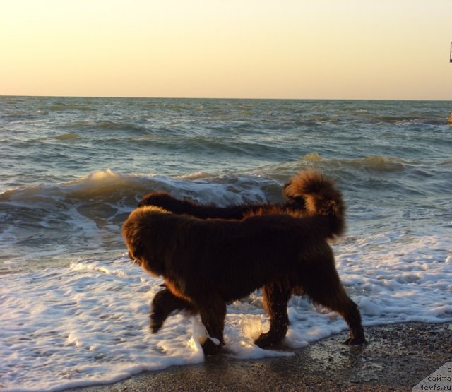 Фотография № 49644