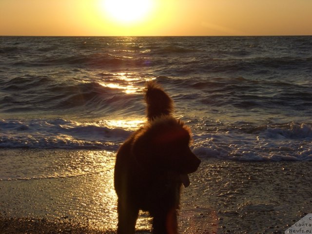 Фотография № 49645