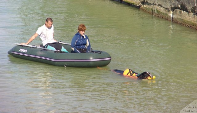 Фотография № 49665