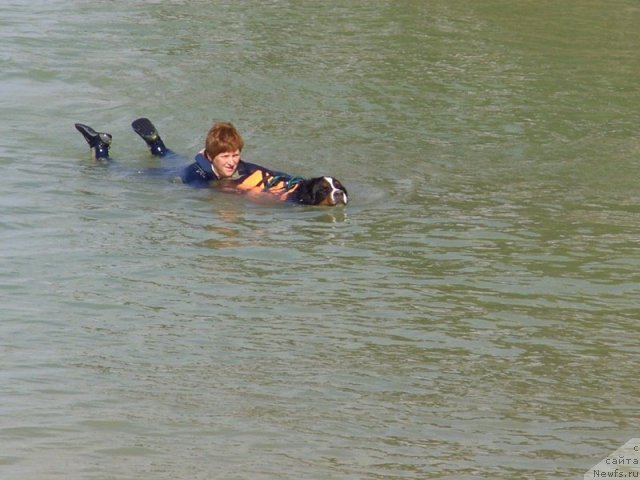 Фотография № 49666