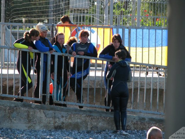 Фотография № 49692