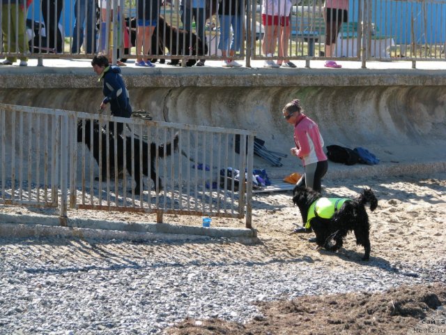 Фотография № 49693