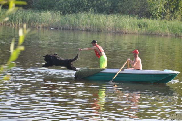 Фотография № 49717