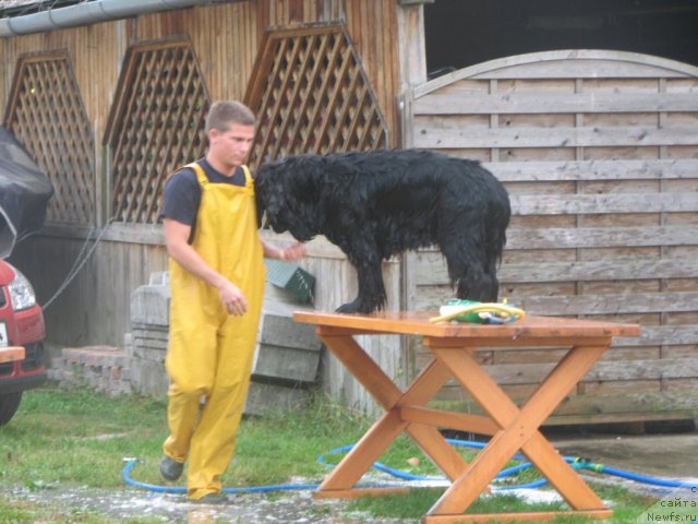 Фотография № 49718