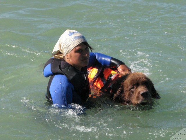 Фотография № 49719