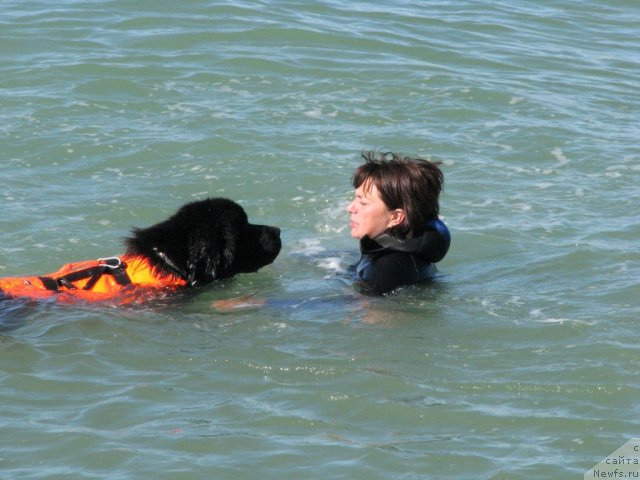 Фотография № 49729