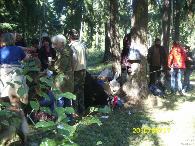 Фотография № 49745