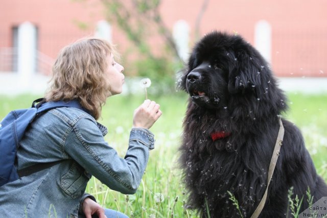 Фотография № 49762