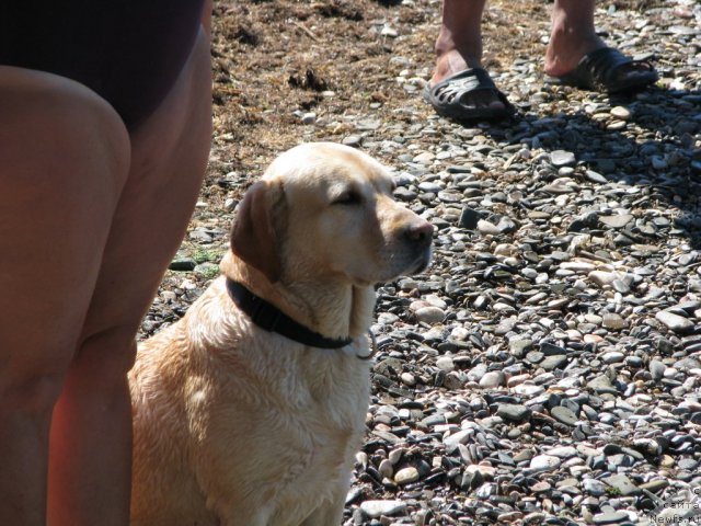 Фотография № 49775