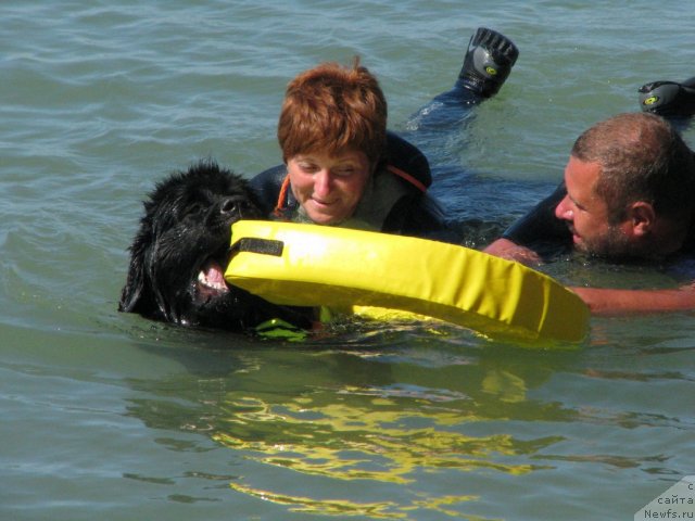 Фотография № 49777