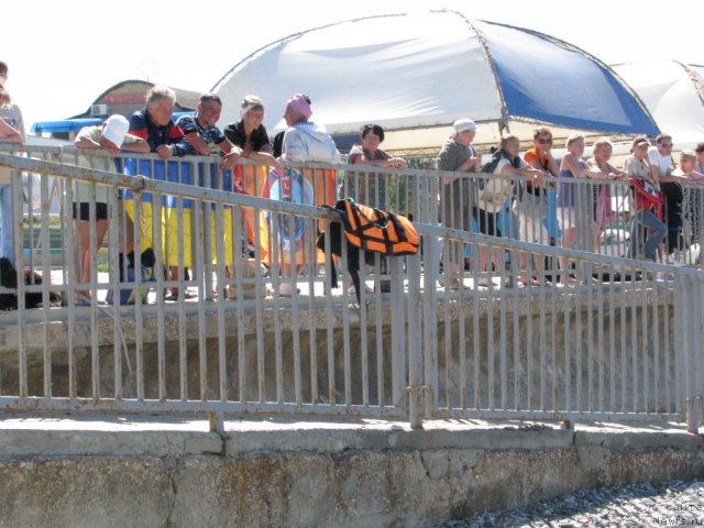 Фотография № 49778