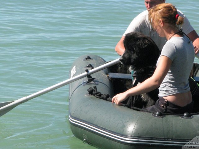 Фотография № 49779