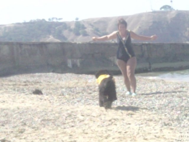 Фотография № 49788