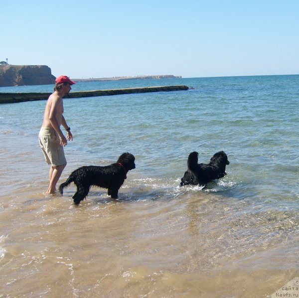 Фотография № 49794