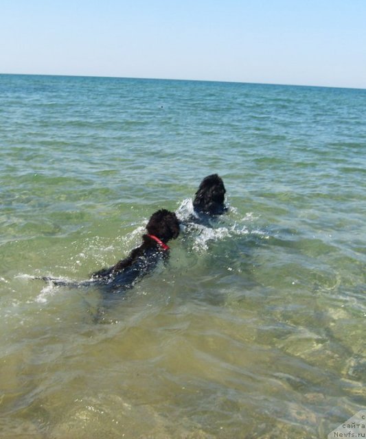 Фотография № 49795