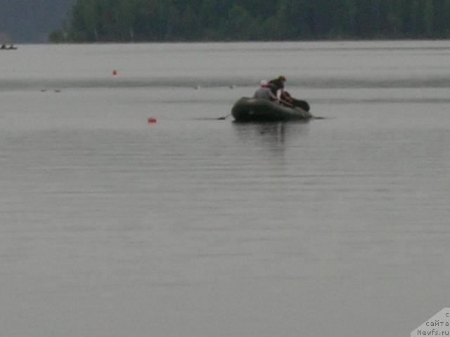 Фото: ньюфаундленд Атлант Бэст, Варвара Рыбалова