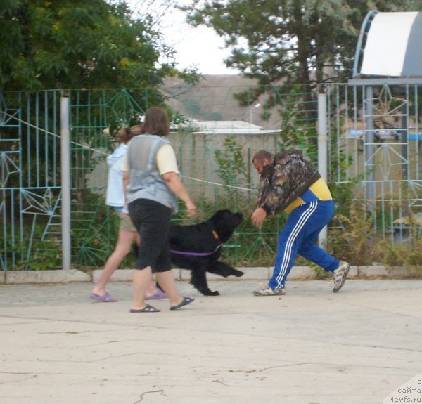 Фотография № 49905