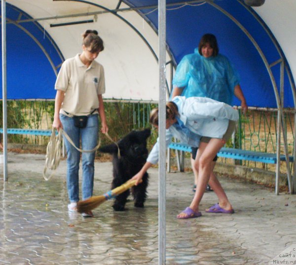 Фотография № 49906