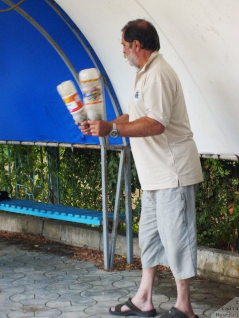 Фотография № 49909