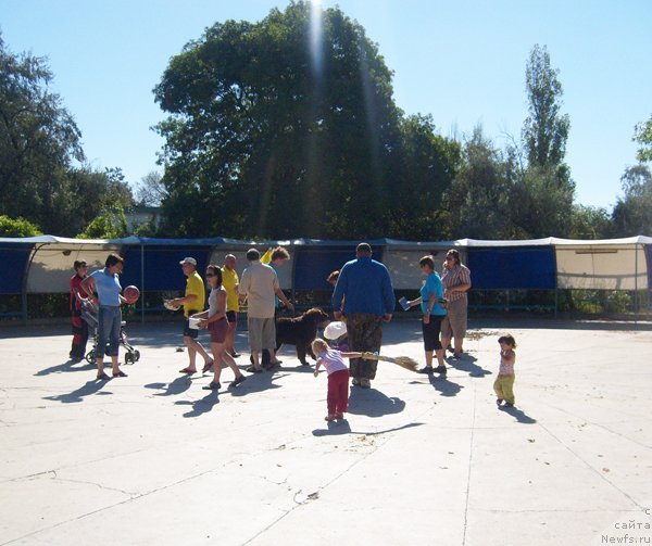 Фотография № 49911