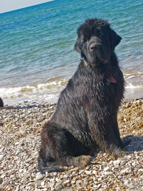 Фотография № 49912