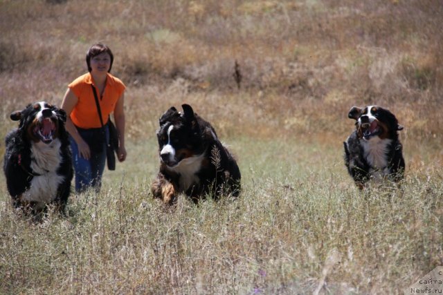 Фотография № 49920