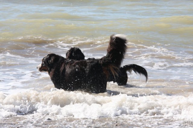 Фотография № 49921