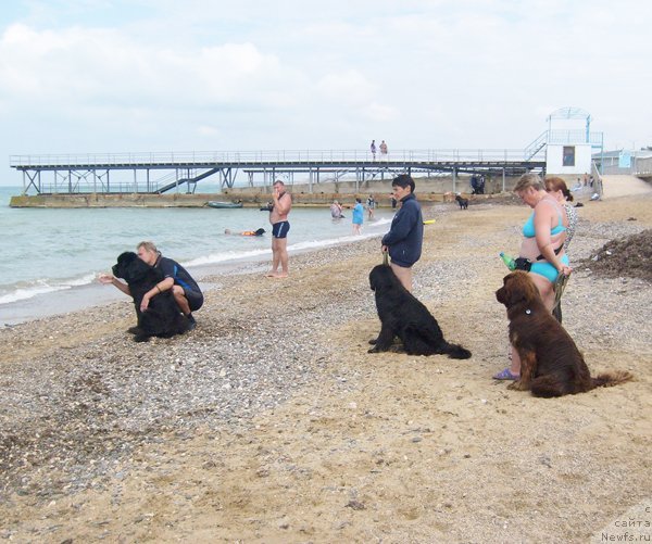 Фотография № 49964