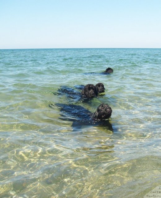 Фотография № 49965