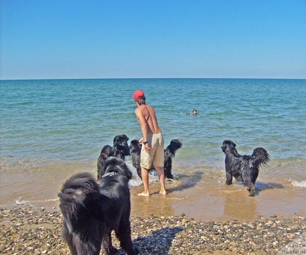 Фотография № 49966