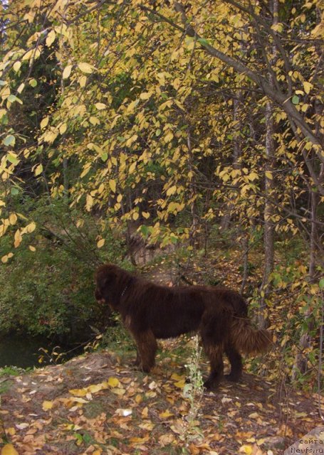 Фотография № 50004