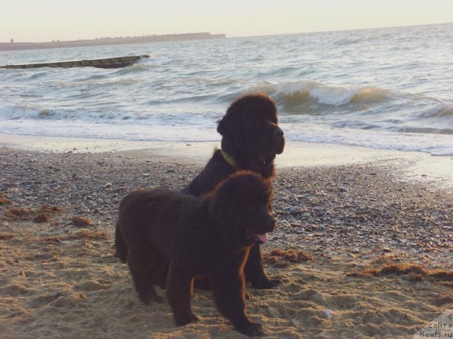 Фотография № 50011