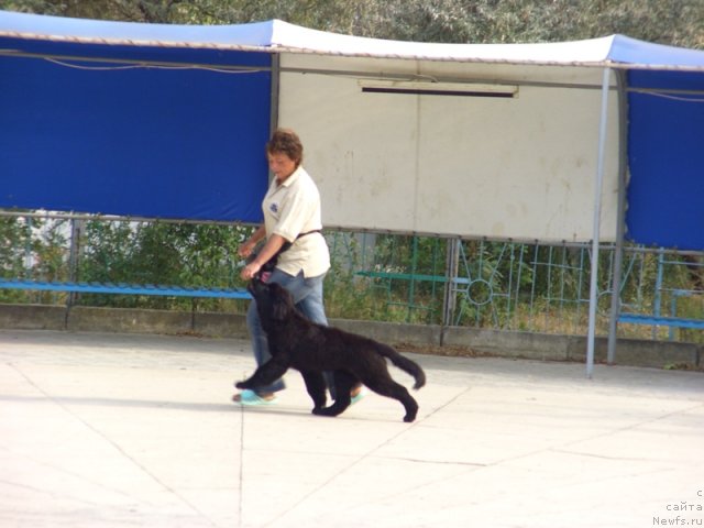 Фотография № 50013