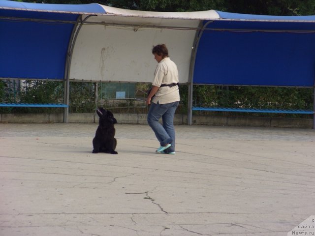 Фотография № 50014